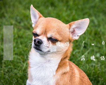 駐馬店捷信網(wǎng)貸逾期怎么停息掛賬-駐馬店捷信網(wǎng)貸逾期怎么停息掛賬了