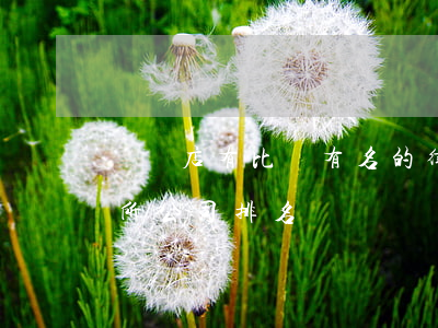 駐馬店有比較有名的律師嗎(駐馬店律師事務所公司排名)