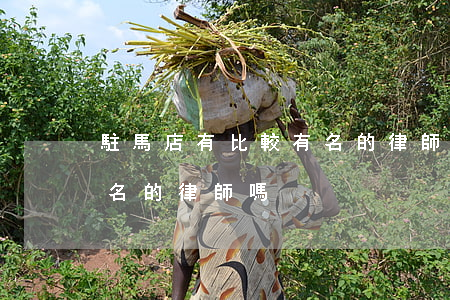 駐馬店有比較有名的律師嗎(駐馬店有比較有名的律師嗎)