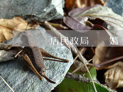 駐馬店民政局辦離婚