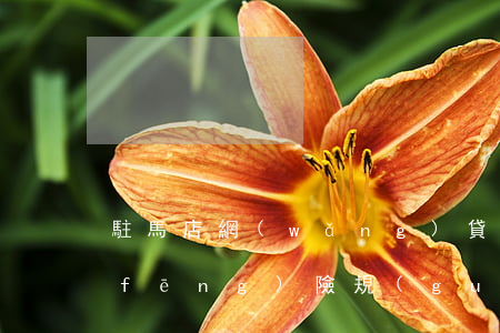 駐馬店網(wǎng)貸逾期避免起訴風(fēng)險規(guī)避-駐馬店網(wǎng)貸逾期避免起訴風(fēng)險規(guī)避通知