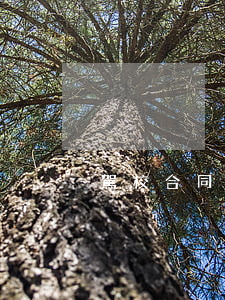 駕校合同糾紛向哪個(gè)部門投訴