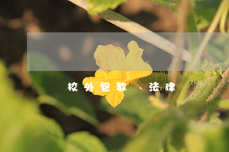 駕校外包教練法律問題(駕校外包教練法律問題)