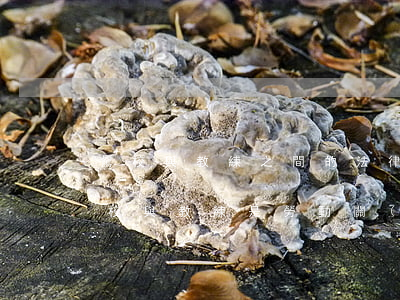 駕校與教練之間的法律關(guān)系(駕校與教練是勞動關(guān)系嗎)