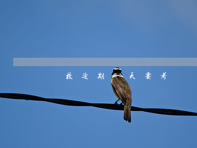 駕校逾期一天要考試嗎(駕駛證考試超期怎么辦)