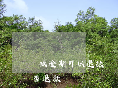 駕校逾期可以退款嗎(報名駕校三年過期后可否退款)