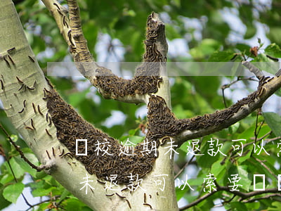 駕校逾期未退款可以索要賠償嗎-駕校逾期未退款可以索要賠償嗎怎么辦