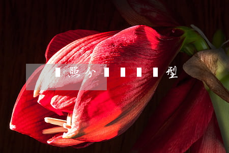 駕照分為幾種類型