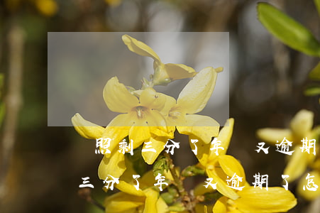 駕照剩三分了年審又逾期了怎么辦-駕照剩三分了年審又逾期了怎么辦理