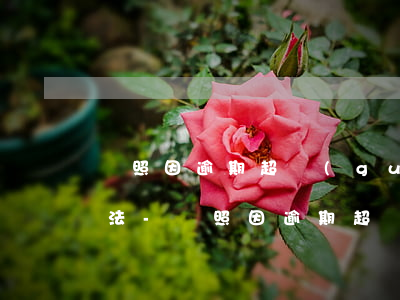 駕照因逾期超過(guò)3年注銷解決辦法-駕照因逾期超過(guò)3年注銷解決辦法是什么