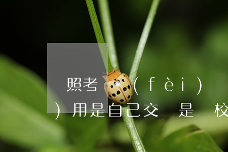 駕照考試費(fèi)(駕照考試費(fèi)用是自己交還是駕校交)
