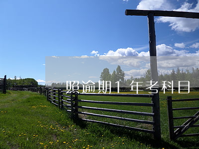 駕照逾期1年考科目幾(駕照逾期1年考科目幾)