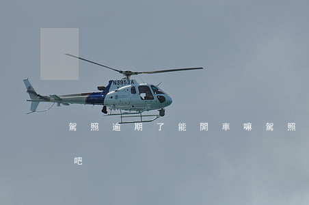 駕照逾期了能開車嘛 駕照逾期了能開車嘛貼吧