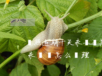 駕照逾期十天未換證怎么處理 駕照逾期十天未換證怎么處理