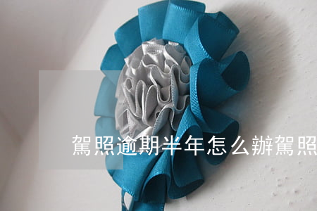 駕照逾期半年怎么辦（駕照逾期一年可以申請）