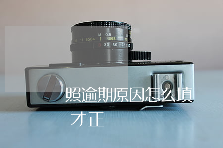 駕照逾期原因怎么填寫(駕照逾期原因怎么填寫才正確)