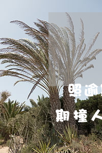 駕照逾期撞人會(huì)被起訴(駕駛證到期撞人了給賠償嗎)