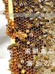 駕照逾期未審出事故怎么處理(駕駛證逾期未審怎么處理)