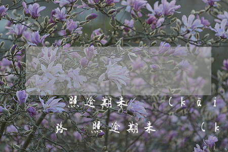 駕照逾期未審開(kāi)車(chē)上路 駕照逾期未審開(kāi)車(chē)上路怎么處罰