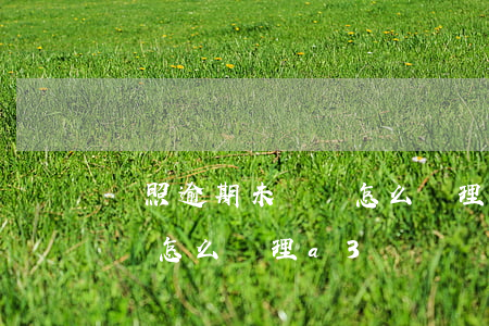 駕照逾期未審驗怎么處理A3(駕照逾期未審驗怎么處理a3)