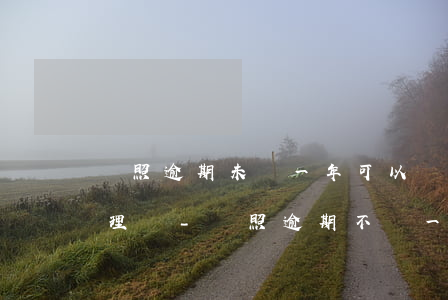 駕照逾期未滿一年可以網(wǎng)上辦理嗎-駕照逾期不滿一年怎么辦