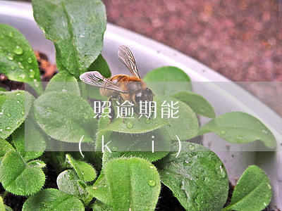 駕照逾期能駕駛騎車嗎-駕照逾期期間能開(kāi)車嗎