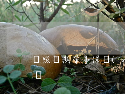 駕照“過期”肇事保險(xiǎn)公司該不該賠