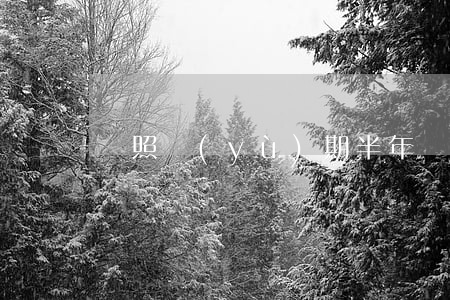 駕照預(yù)期半年（駕照逾期半年了）
