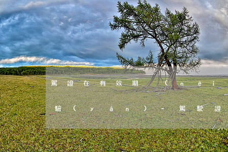 駕證在有效期內(nèi)但顯示逾期未審驗(yàn)-駕駛證在有效期限內(nèi)逾期未審驗(yàn)是什么意思