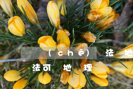 駕車(chē)違法異地可以處理嗎(駕證違法可異地處理嗎)