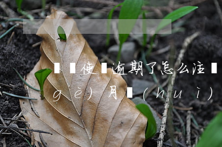 駕駛使證逾期了怎么注銷(駕駛證逾期五個(gè)月,會(huì)注銷駕駛證嗎?)