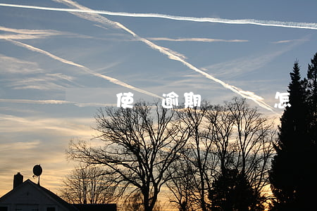 駕駛使證逾期開車會怎樣-逾期駕駛證可以開車嗎