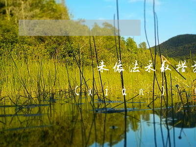 駕駛員未依法采取措施離開(kāi)事故現(xiàn)場(chǎng) 保險(xiǎn)人能否免責(zé)