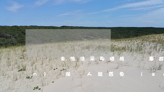 駕駛員未依法采取措施離開事故現(xiàn)場 保險人能否免責(zé)