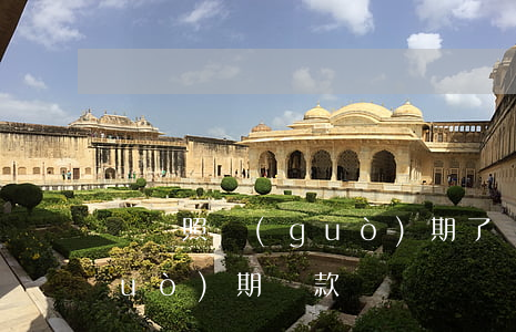 駕駛照過(guò)期了罰多少(駕照過(guò)期罰款)