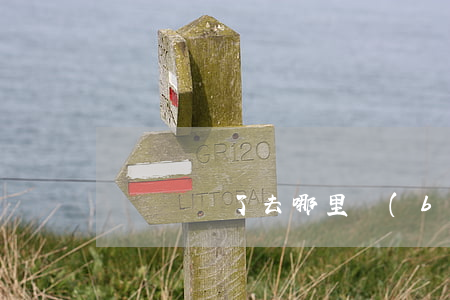 駕駛證丟了去哪里補(bǔ)辦