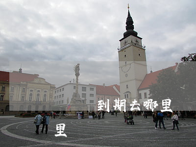 駕駛證到期去哪里換證(泉州駕駛證到期去哪里換證)
