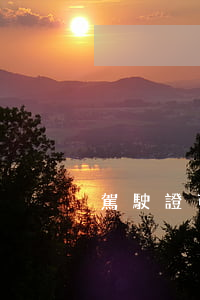 駕駛證可以坐飛機(jī)嗎