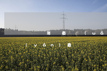 駕駛證年審查詢網(wǎng)(駕駛證審驗(yàn)查詢)