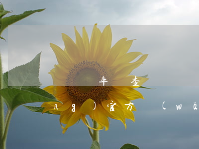 駕駛證年審查詢(駕駛證年審查詢系統(tǒng)官方網(wǎng))
