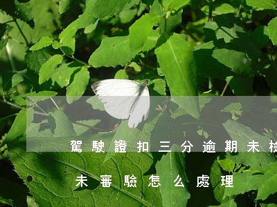 駕駛證扣三分逾期未檢-駕駛證扣3分逾期未審驗怎么處理