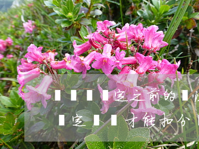 駕駛證綁定之前的違法扣分可以嗎(駕駛證要綁定車輛才能扣分嗎)