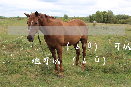 駕駛證補(bǔ)辦可以異地嗎(駕駛證在異地可以補(bǔ)辦嗎?)