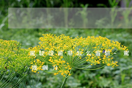 駕駛證逾期怎么審驗-駕駛證逾期審驗最多幾個月