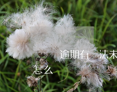 駕駛證逾期有違法未處理(駕駛證逾期未處理怎么辦)