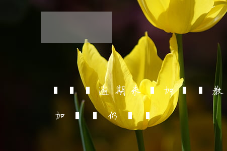 駕駛證逾期未參加審驗教育(駕駛證逾期不參加審驗仍駕駛)