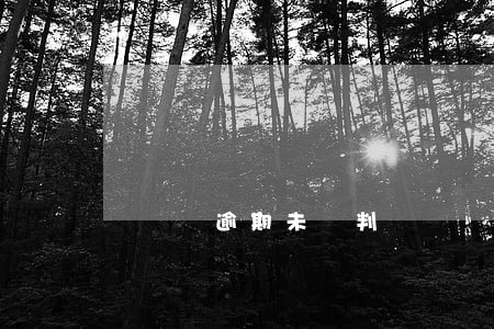 駕駛證逾期未審判(駕駛證逾期未審判怎么辦)