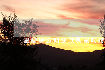 駕駛證逾期罰款嗎（駕駛證逾期罰款嗎）