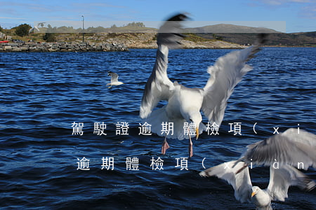 駕駛證逾期體檢項(xiàng)目 駕駛證逾期體檢項(xiàng)目包括