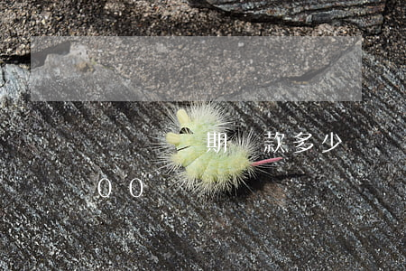 駕駛證過期罰款多少錢(駕駛證過期罰款1500)